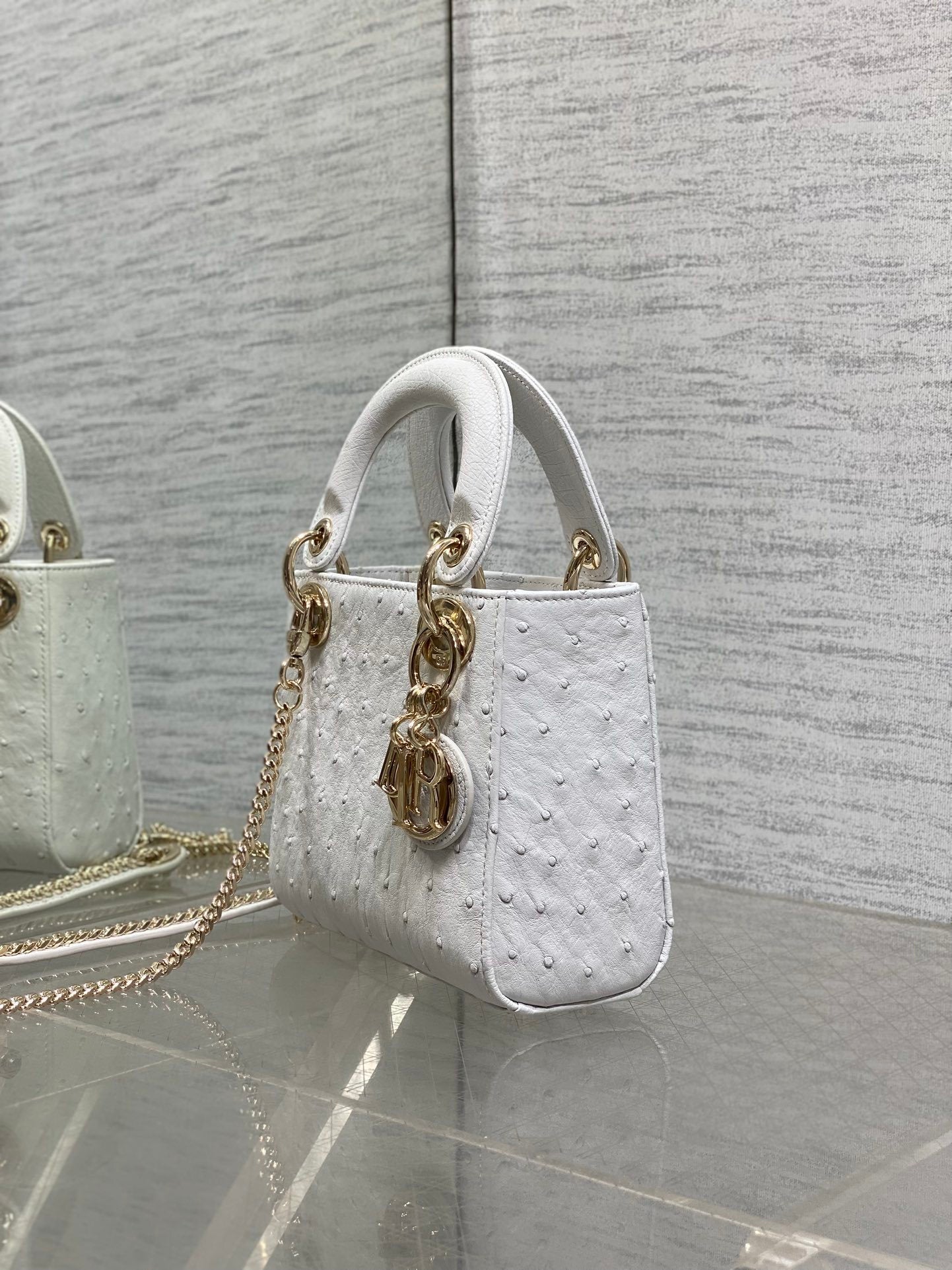 Bolsa Christian Dior