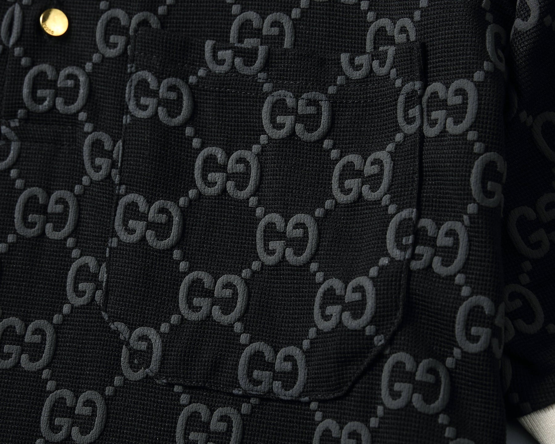 Polo Gucci