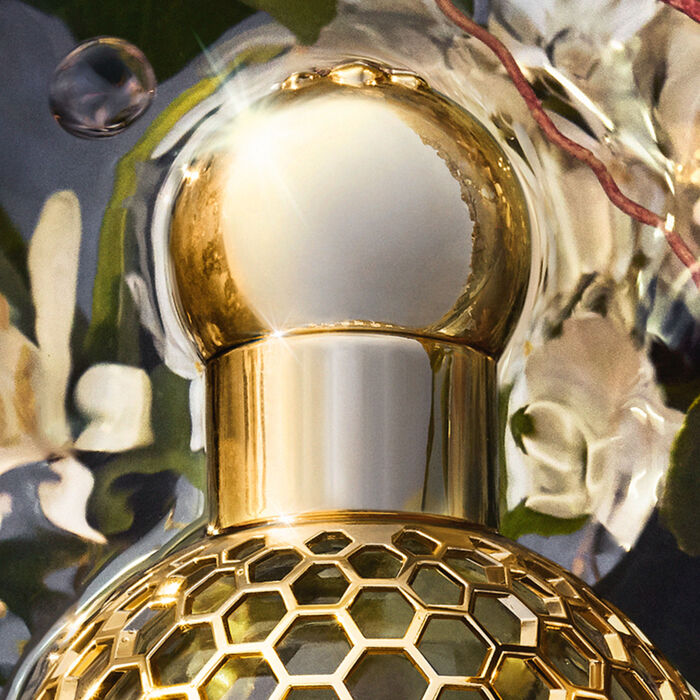 Kit de Parfums: NEROLIA VETIVER FORTE - EAU DE PARFUM E BOSCA VANILLA FORTE - EAU DE PARFUM