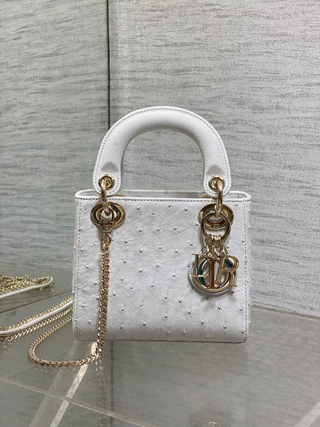 Bolsa Christian Dior