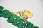 Camiseta Supreme Lizard Tee