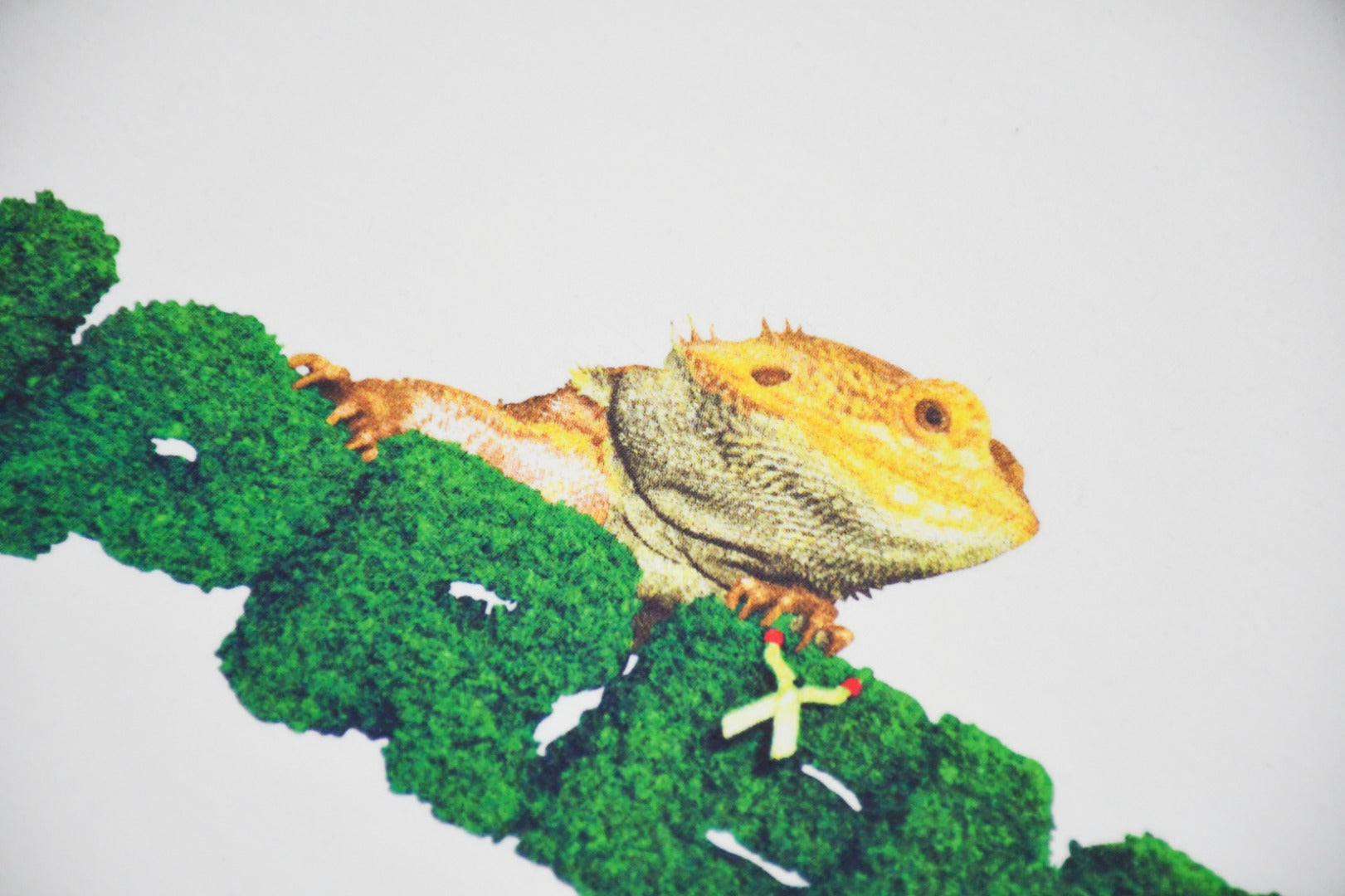 Camiseta Supreme Lizard Tee