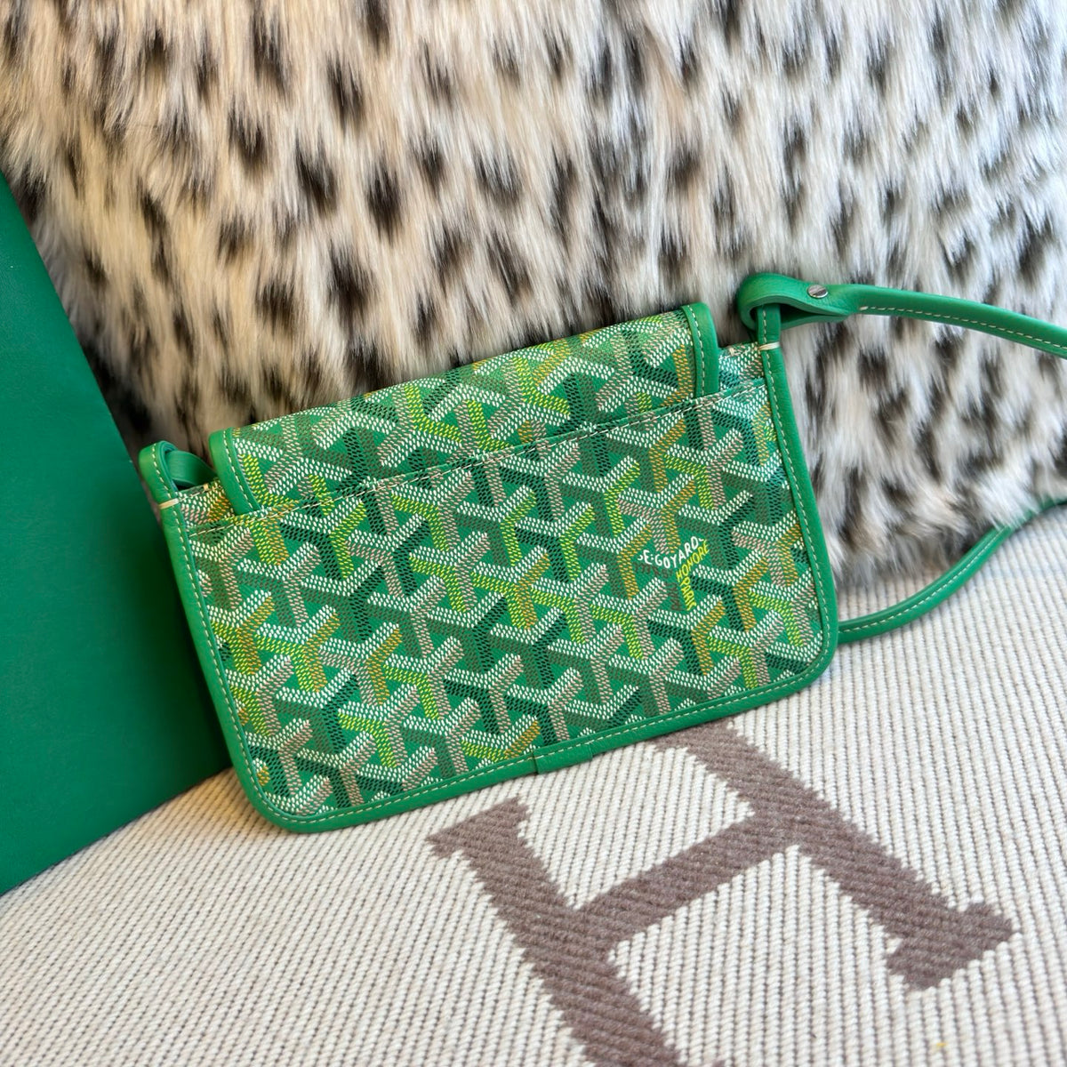 Goyard Plumet Pouch Wallet Multicoloured Bag Green