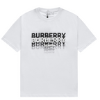 Camiseta Burberry X Supreme
