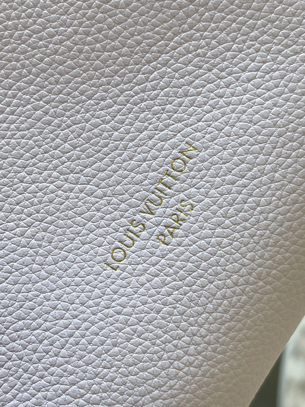 Bolsa LV