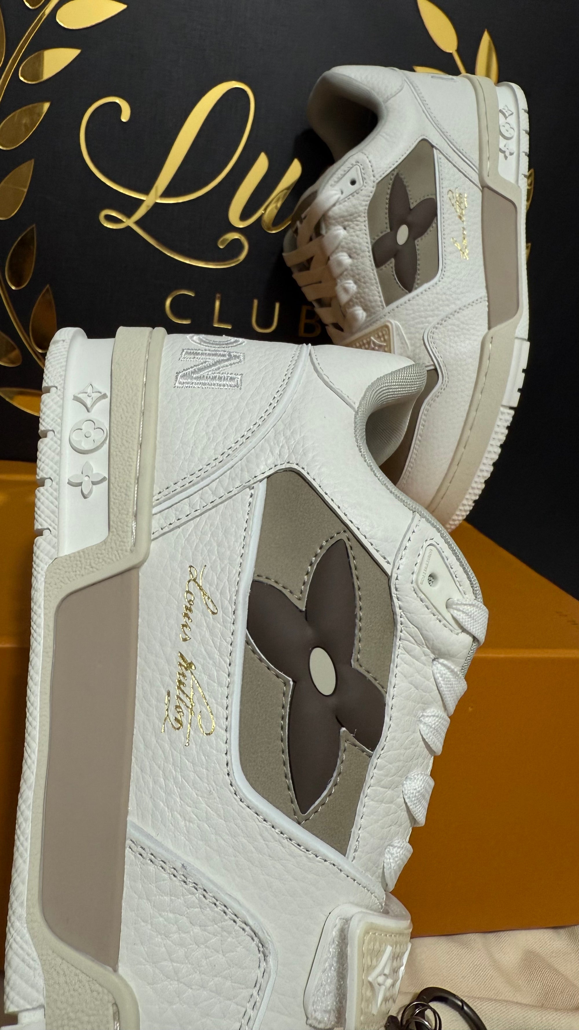 LV Trainer