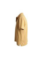 Polo Burberry Beige Gold