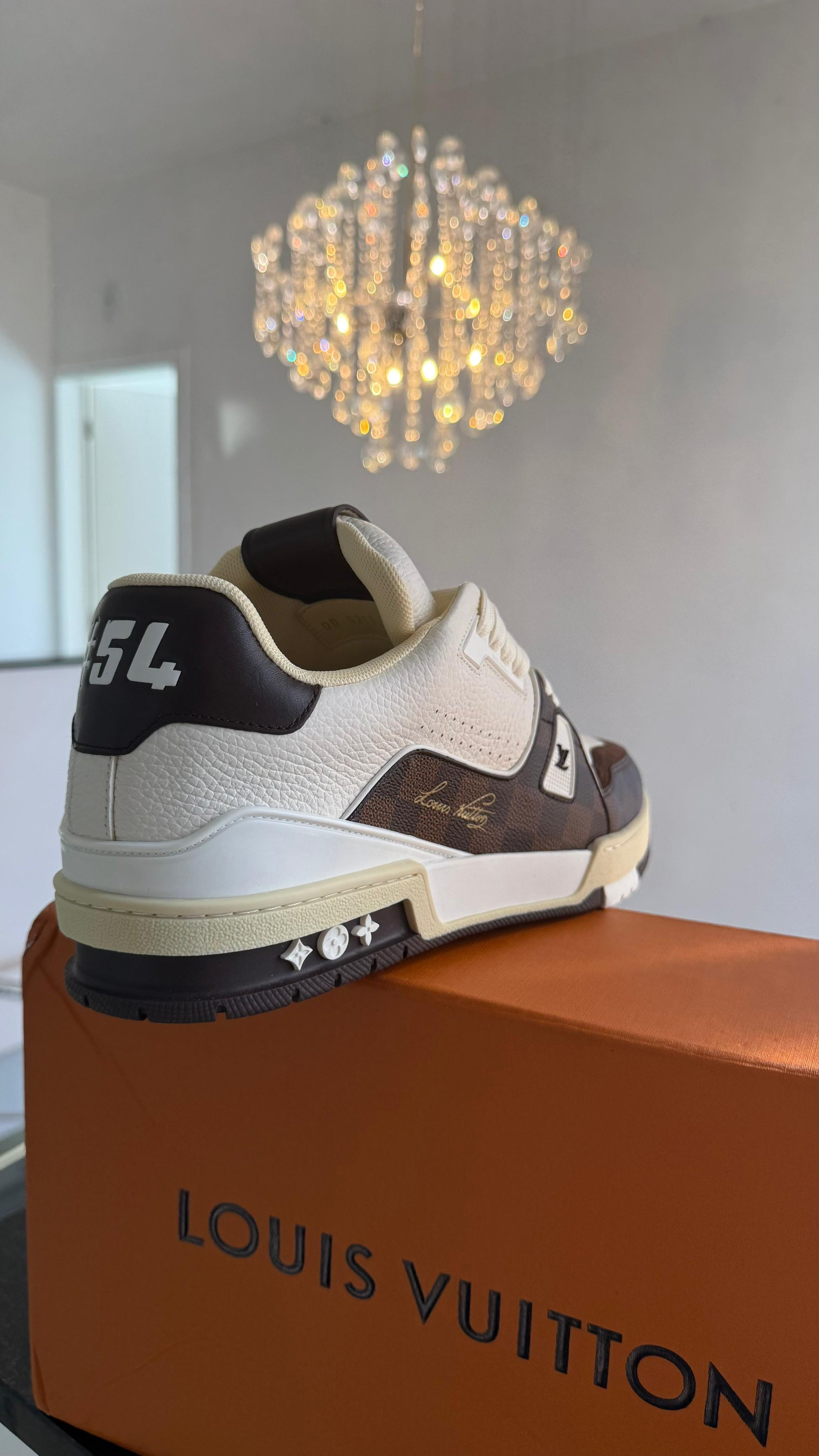 Tênis LV Trainer #54 Brown