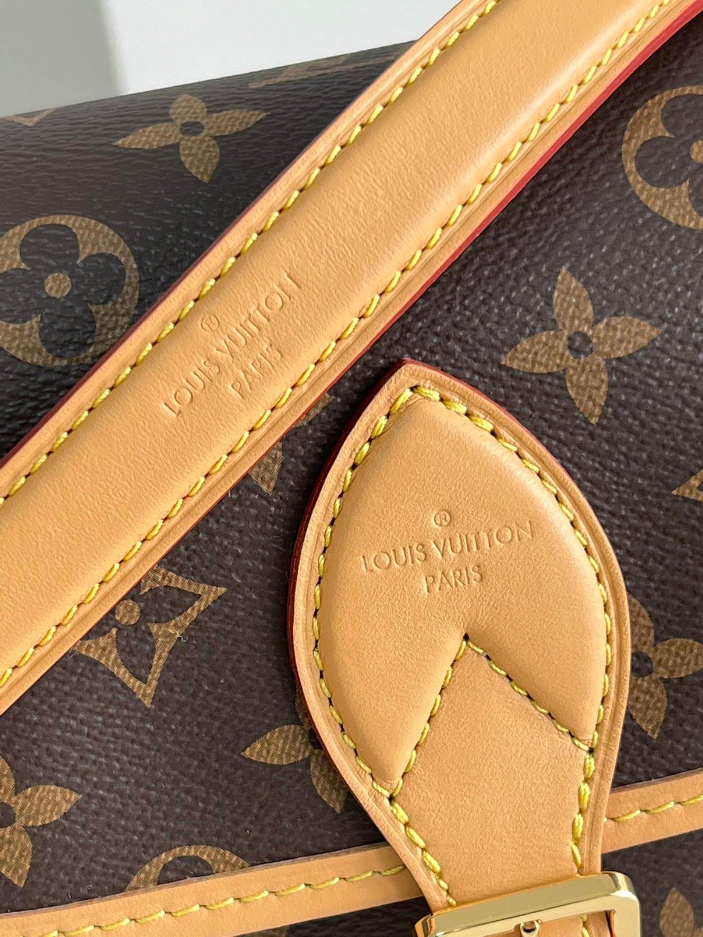 Bolsa Diane Monogram
