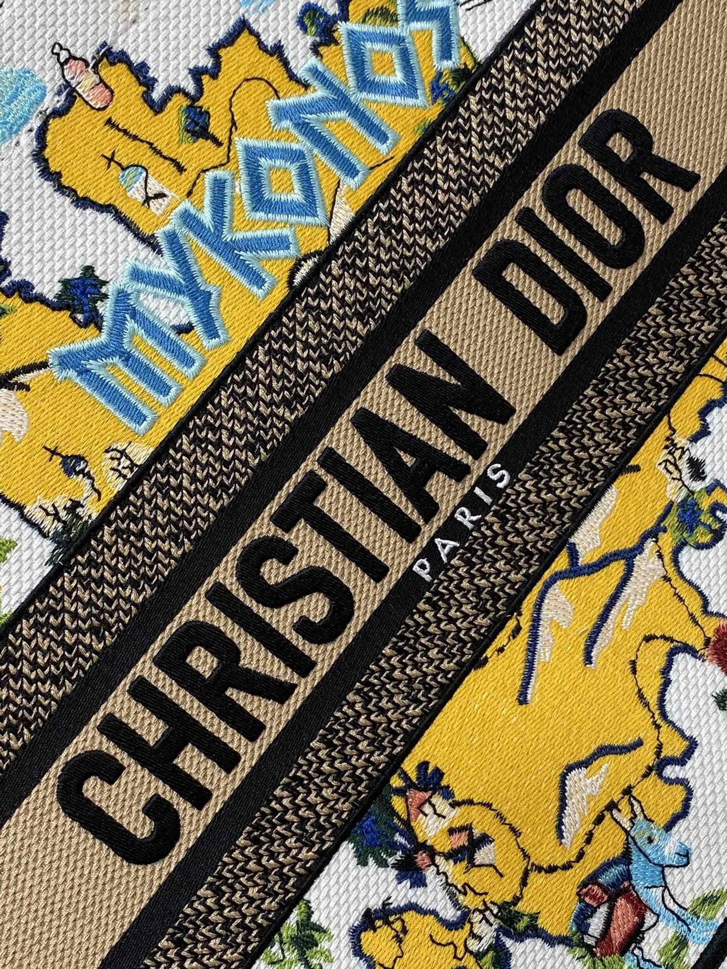 Bolsa Christian Dior
